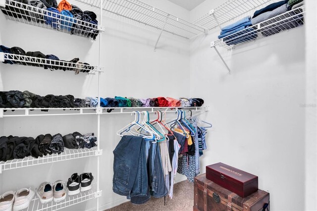 view of walk in closet