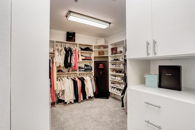 spacious closet featuring carpet flooring