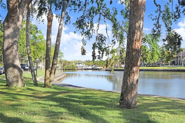 property view of water