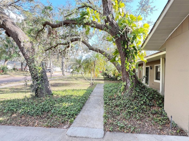 3907 Applegate Cir, Brandon, FL 33511 - view of yard