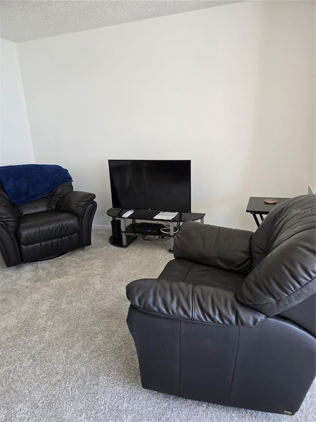 living room with a textured ceiling and carpet flooring