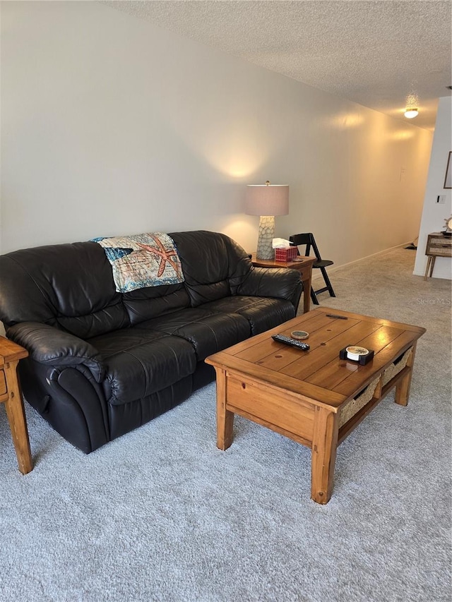carpeted living room with a textured ceiling