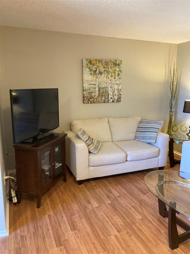 living room featuring light wood-style flooring and a textured ceiling
