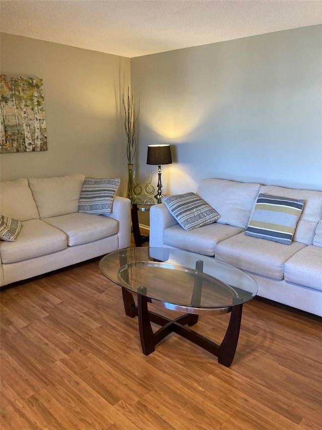 living area featuring wood finished floors and a textured ceiling