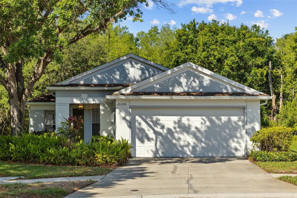 26306 Whirlaway Ter, Wesley Chapel, FL 33544 - view of front of property featuring a garage and concrete driveway
