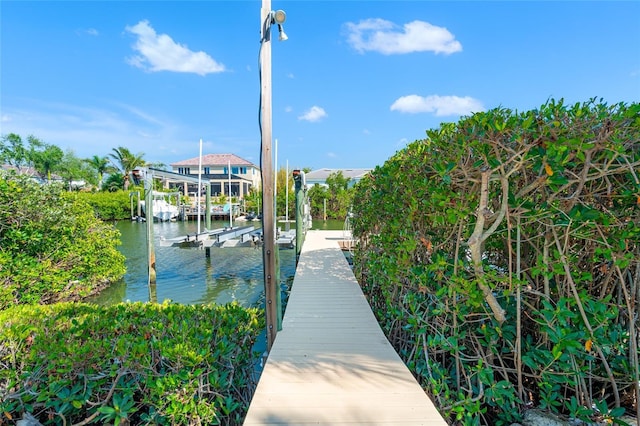 view of home's community with boat lift, a boat dock, and a water view