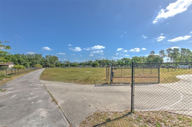 6709 W Knights Griffin Rd, Plant City, FL 33565 - photo 15