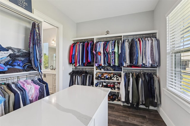 spacious closet featuring dark wood finished floors