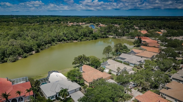2042 Diamond Ct, Oldsmar, FL 34677 - aerial view featuring a forest view, a residential view, and a water view