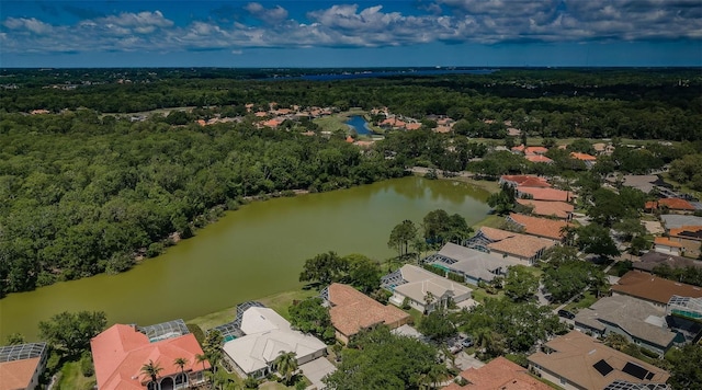 2042 Diamond Ct, Oldsmar, FL 34677 - birds eye view of property with a view of trees, a residential view, and a water view
