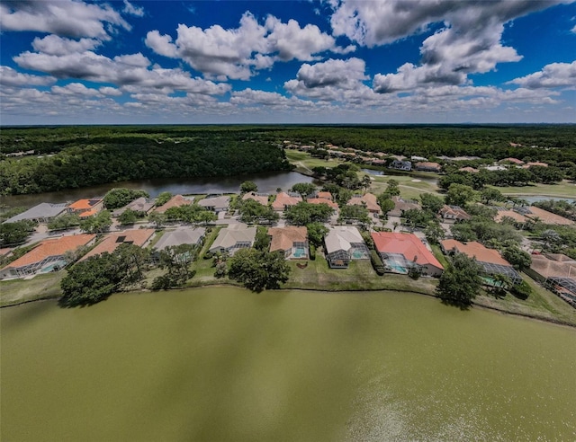 2042 Diamond Ct, Oldsmar, FL 34677 - aerial view with a water view, a residential view, and a wooded view