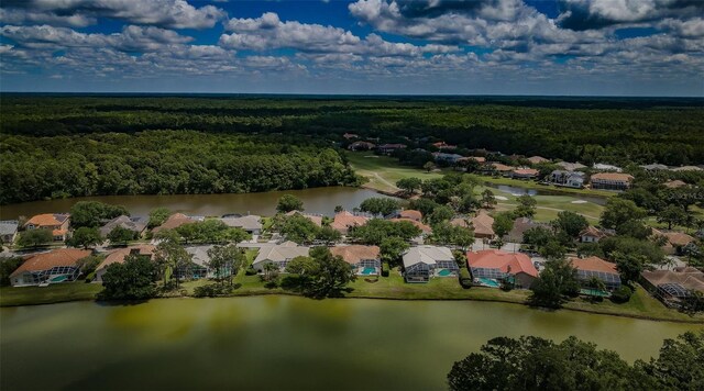 2042 Diamond Ct, Oldsmar, FL 34677 - bird's eye view featuring a residential view, a wooded view, and a water view