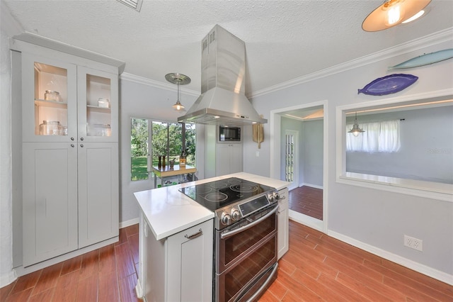 10824 Palmetto St, Riverview, FL 33569 - kitchen with double oven range, island range hood, wood finished floors, crown molding, and baseboards