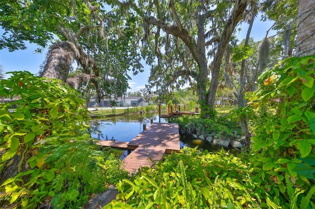 10824 Palmetto St, Riverview, FL 33569 - dock area featuring a water view