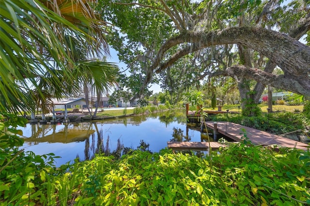 10824 Palmetto St, Riverview, FL 33569 - dock area featuring a water view