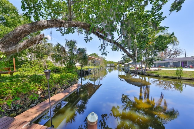 10824 Palmetto St, Riverview, FL 33569 - water view with a dock