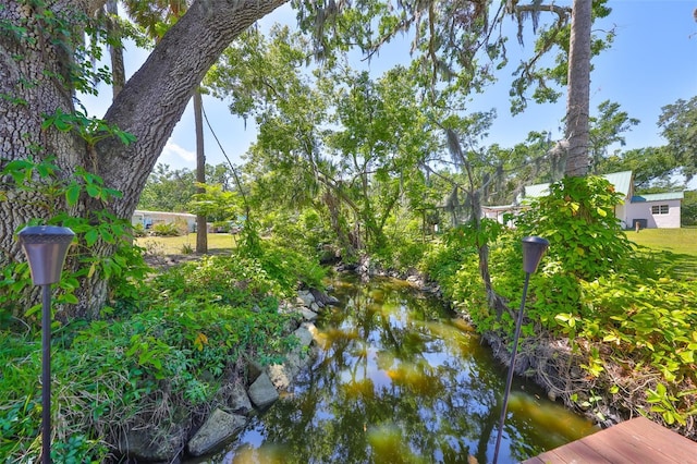 10824 Palmetto St, Riverview, FL 33569 - view of yard