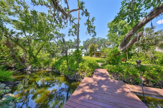 10824 Palmetto St, Riverview, FL 33569 - view of dock area