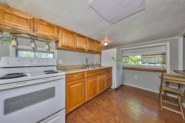 10824 Palmetto St, Riverview, FL 33569 - kitchen featuring white appliances, a sink, dark wood finished floors, light countertops, and a textured ceiling