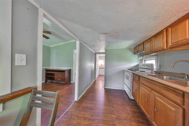 10824 Palmetto St, Riverview, FL 33569 - kitchen with white electric stove, a sink, dark wood-style floors, brown cabinetry, and ornamental molding