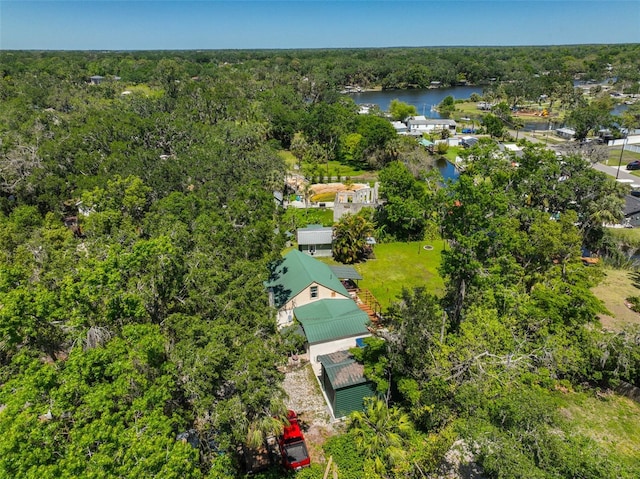 10824 Palmetto St, Riverview, FL 33569 - drone / aerial view of a heavily wooded area and a large body of water
