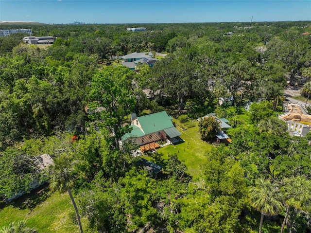 10824 Palmetto St, Riverview, FL 33569 - drone / aerial view of a forest