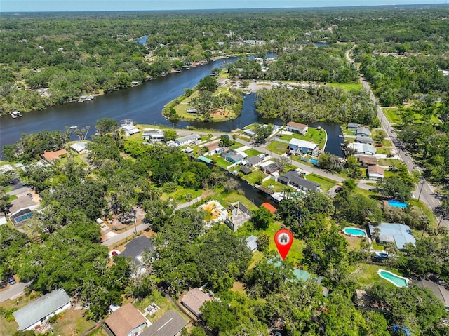 10824 Palmetto St, Riverview, FL 33569 - view of property location featuring a large body of water, nearby suburban area, and a forest
