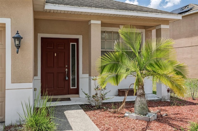 20606 Whitewood Way, Tampa, FL 33647 - entrance to property featuring stucco siding and a shingled roof