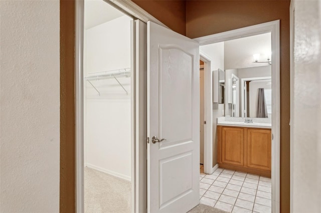 20606 Whitewood Way, Tampa, FL 33647 - closet featuring a sink