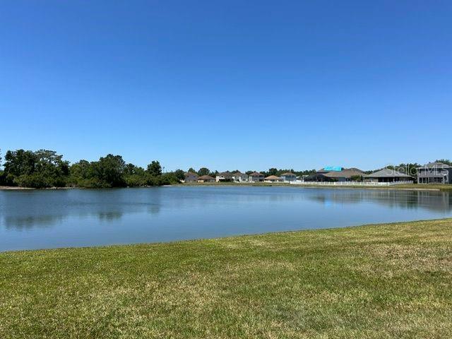 20606 Whitewood Way, Tampa, FL 33647 - water view