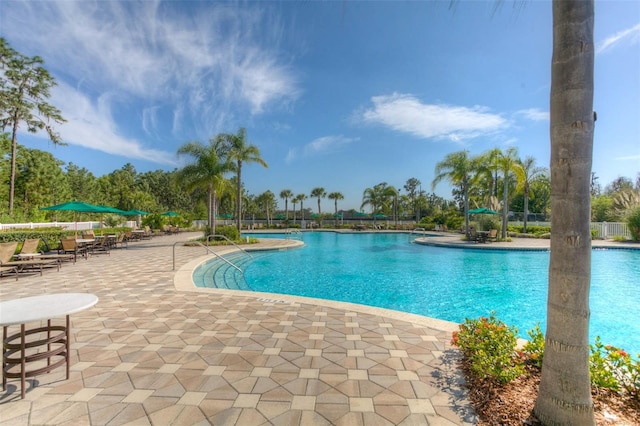 20606 Whitewood Way, Tampa, FL 33647 - community pool featuring a patio