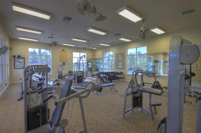 20606 Whitewood Way, Tampa, FL 33647 - gym featuring carpet flooring and baseboards