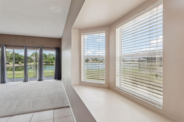 20606 Whitewood Way, Tampa, FL 33647 - unfurnished bedroom featuring carpet flooring, a water view, tile patterned floors, and access to exterior