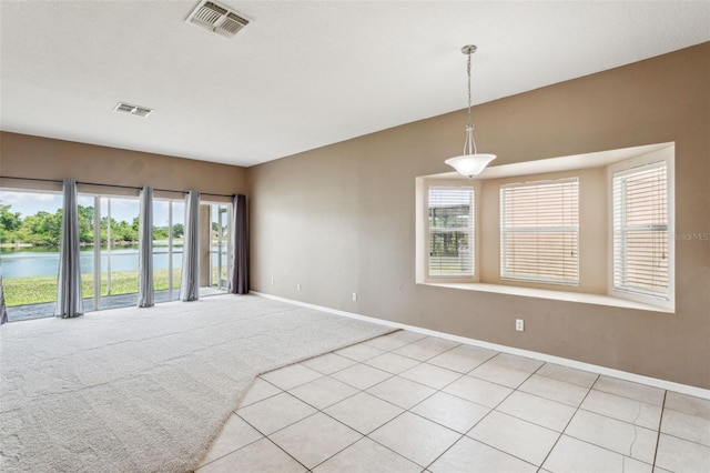 20606 Whitewood Way, Tampa, FL 33647 - empty room featuring baseboards, healthy amount of natural light, light carpet, and a water view