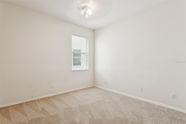20606 Whitewood Way, Tampa, FL 33647 - carpeted empty room with a ceiling fan and baseboards