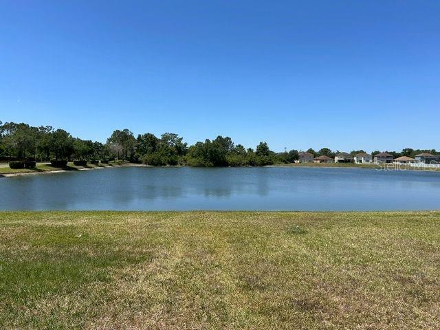 20606 Whitewood Way, Tampa, FL 33647 - water view
