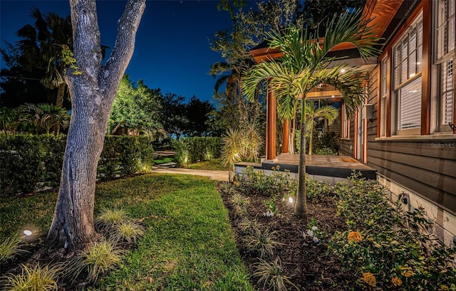 2536 Burlington Ave N, Saint Petersburg, FL 33713 - view of yard
