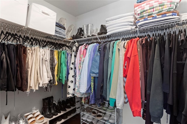 view of spacious closet