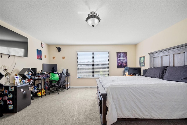 1227 Ballard Green Pl, Brandon, FL 33511 - carpeted bedroom featuring baseboards and a textured ceiling