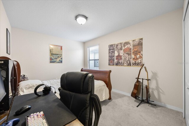 1227 Ballard Green Pl, Brandon, FL 33511 - office featuring baseboards and light colored carpet
