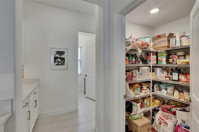 17583 Holly Well Ave, Wimauma, FL 33598 - view of pantry