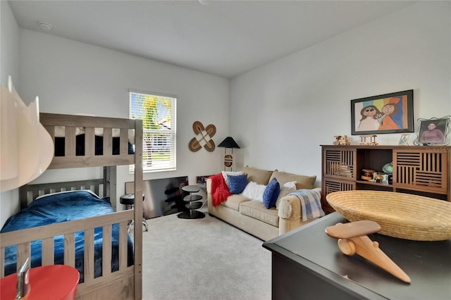17583 Holly Well Ave, Wimauma, FL 33598 - view of carpeted bedroom
