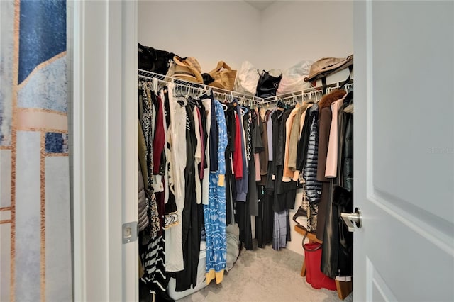 17583 Holly Well Ave, Wimauma, FL 33598 - walk in closet with carpet