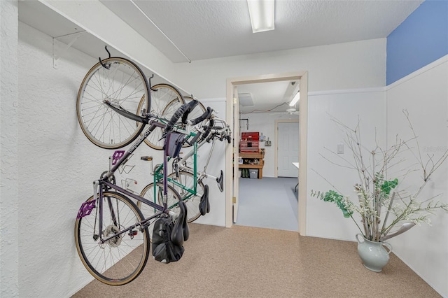 2613 59th St S, Gulfport, FL 33707 - garage featuring a textured wall