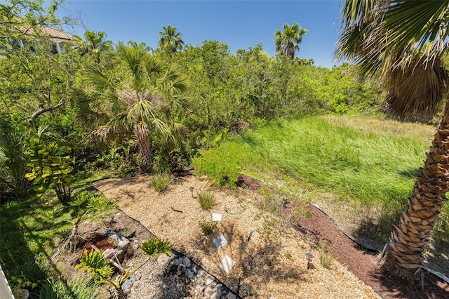 2613 59th St S, Gulfport, FL 33707 - view of yard