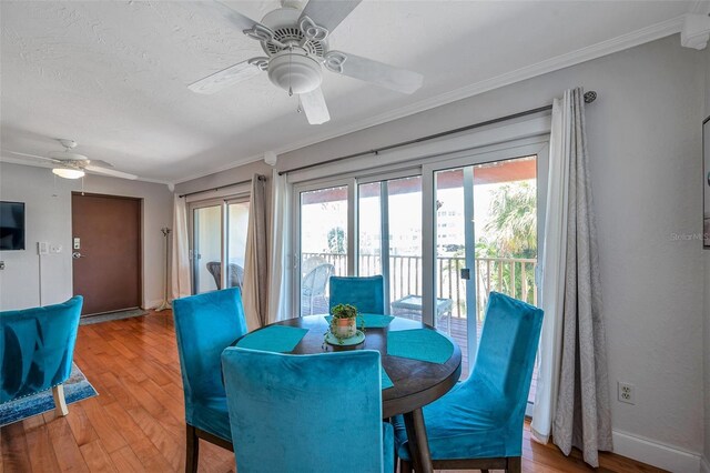 1809 Gulf Blvd, Indian Rocks Beach, FL 33785 - photo 47