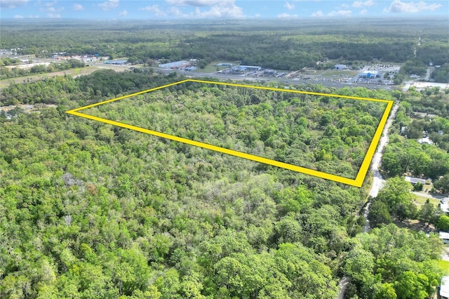 8935 W Kingston Dr, Homosassa, FL 34448 - photo 5
