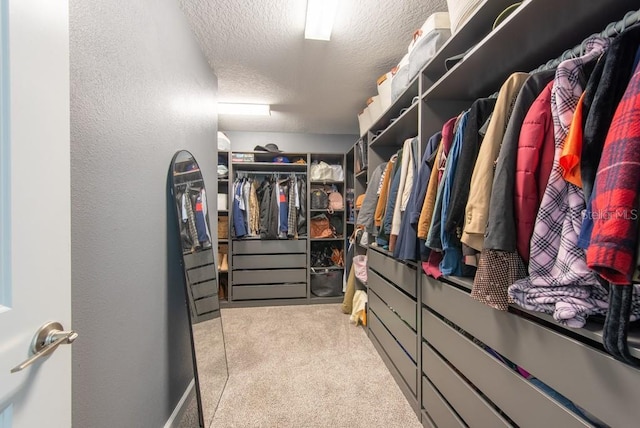 spacious closet with carpet flooring