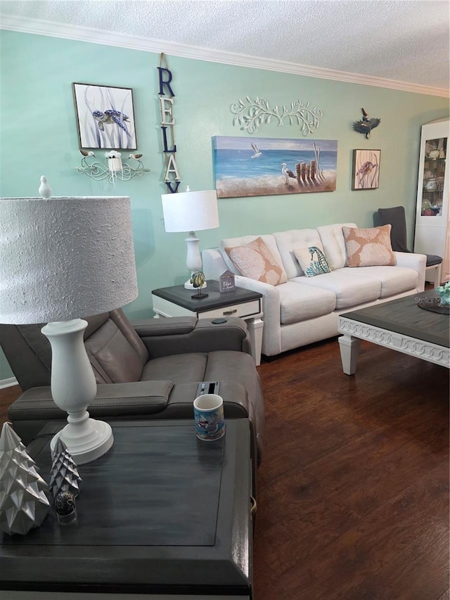 6190 80th St N Unit 204, Saint Petersburg, FL 33709 - living area with crown molding, wood finished floors, and a textured ceiling