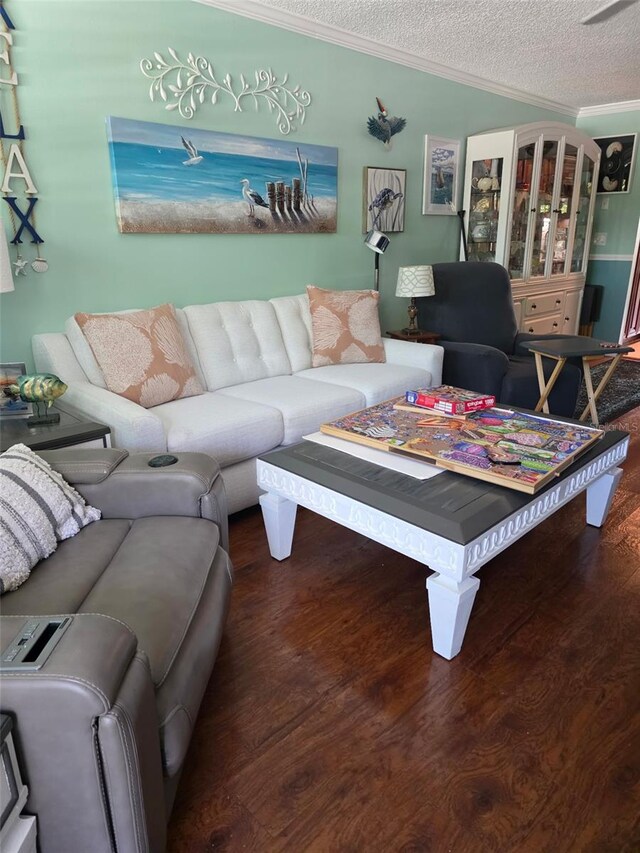 6190 80th St N Unit 204, Saint Petersburg, FL 33709 - living room with ornamental molding, a textured ceiling, and wood finished floors